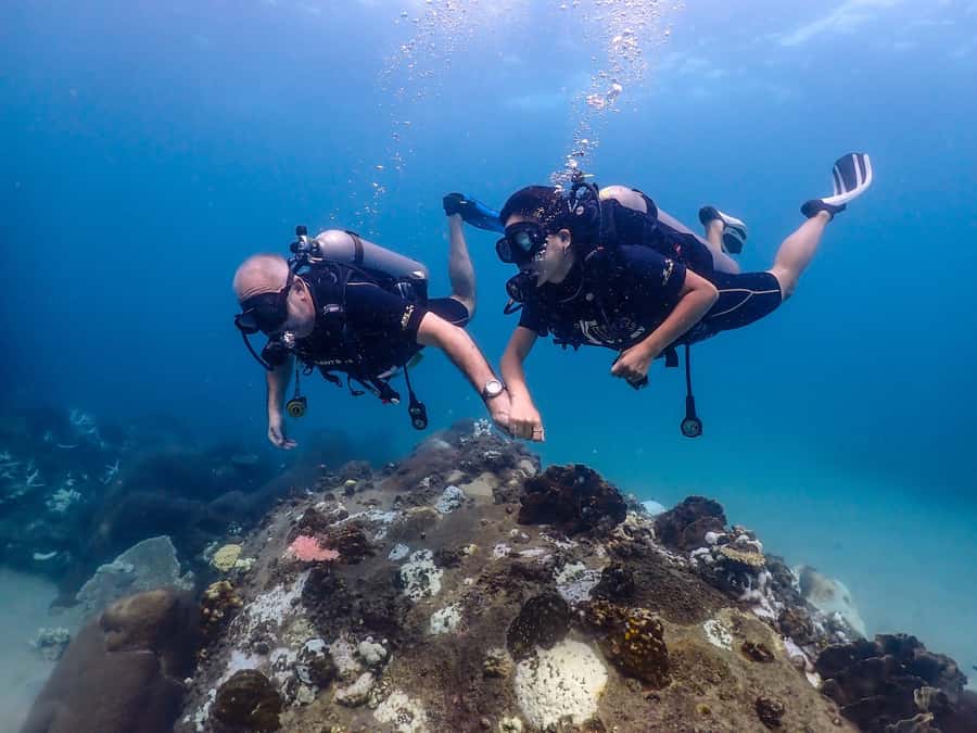Koh Samui: Discovery Dive to Koh Tao or Sail Rock - What the day is really like from Koh Samui