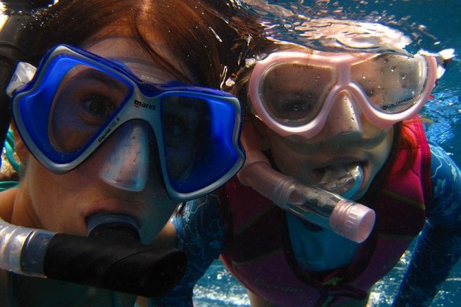 Kona Luxury Catamaran Yacht Snorkel & Sail - Dolphins, Turtles, Whales, and the Rules of Wild Encounters