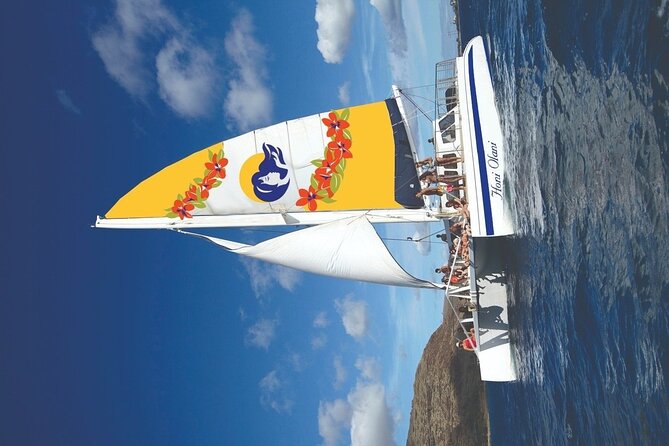 Kona Signature Catamaran Sunset Sail - Dolphins, whales, and the luck of the sea