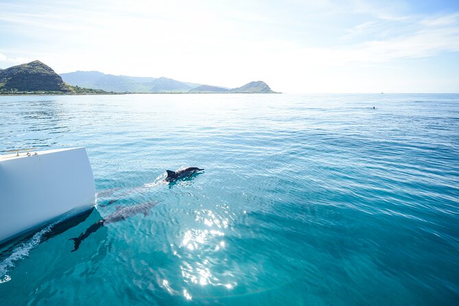Kona Signature Catamaran Sunset Sail - What the 90-minute route actually offers