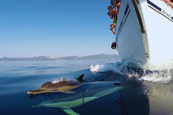 Kos: Small Group Full-Day Sailing with Meal, Drinks, & Swim - What the small group changes