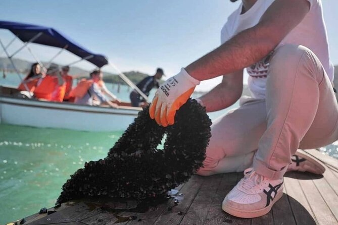 Ksamil: Mussel Sailing Tour with Food and Drink in Albania - The return ride and adding Butrint afterward