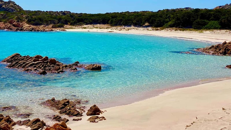 La Maddalena Arcipelago: Sailing boat tour with lunch - Budelli and the protected Pink Beach
