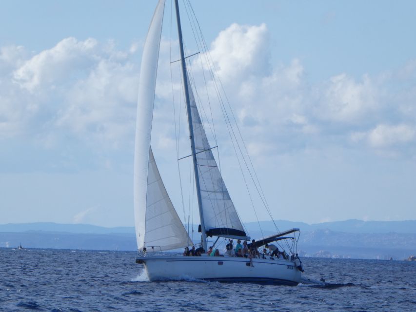 La Maddalena: Full-Day Sailing Trip - Piscine di Budelli: the first big swim