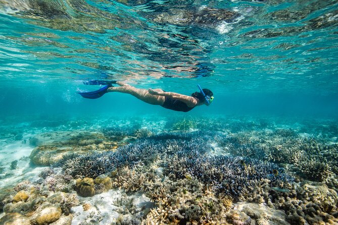 Lady Enid Sailing to Hook Island Cultural Site & Snorkelling - Why Lady Enid feels different from a standard island cruise