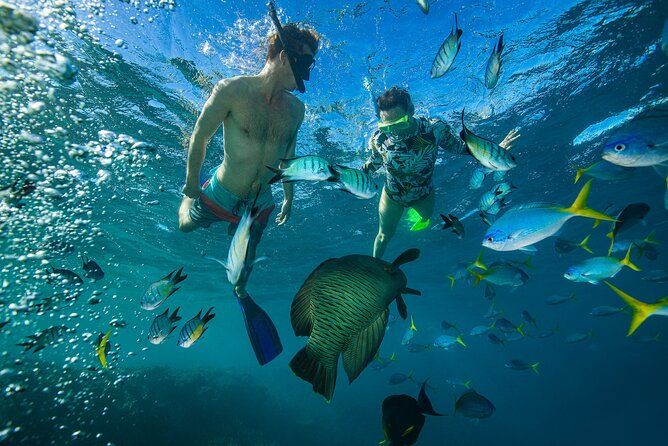 Lady Enid Sailing to Hook Island Cultural Site & Snorkelling - Is $182.90 good value?