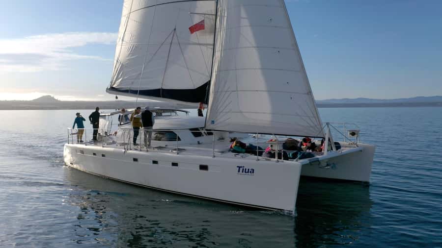 Lake Taupo: Luxury Sailing Catamaran to Māori Rock Carvings - A smooth ride across Australasia’s largest freshwater lake