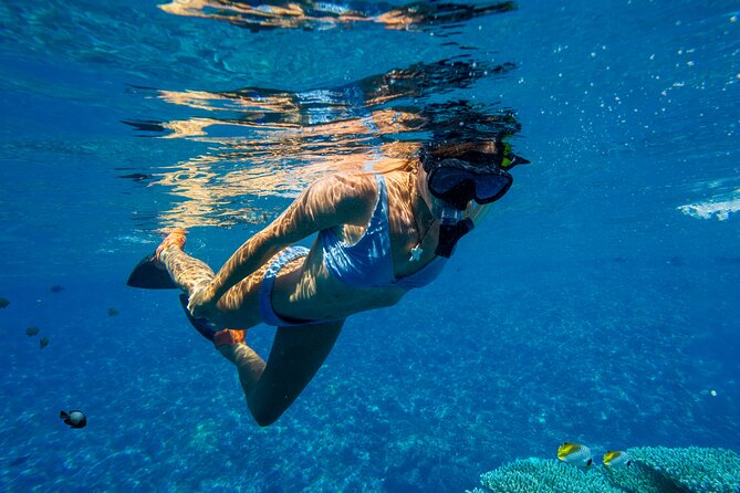 Lāna'i Coast Snorkel and Sail - Time to swim, then time to slow down