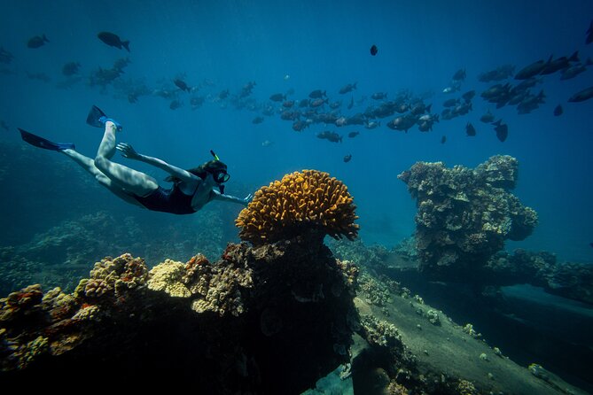 Lāna'i Coast Snorkel and Sail - Practical details that make the day easier