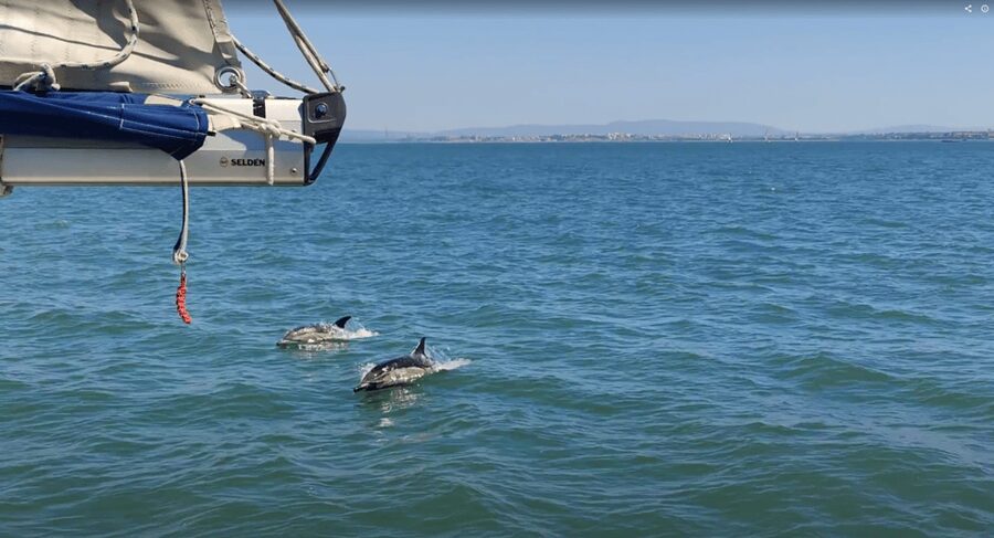 Lisbon: Private Boutique Boat Tour – Sail in Style - Under the 25 de Abril Bridge with Lisbon in view