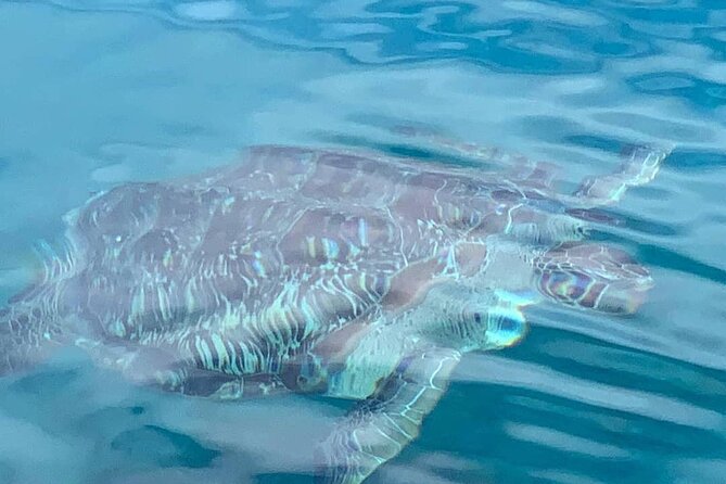 Little Bay Half-Day Sail & Snorkel Adventure - The 60 to 90 minute sail to Little Bay