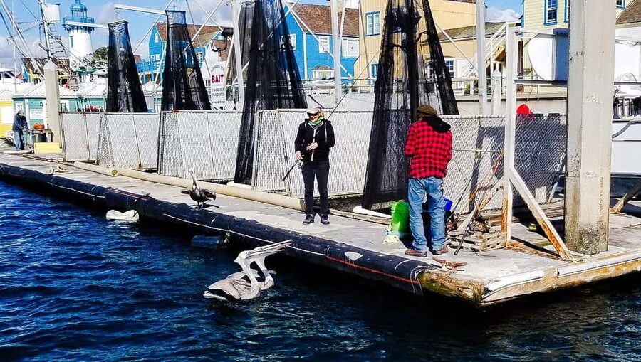 Los Angeles: Sunset Sailing - What to bring for a comfortable evening
