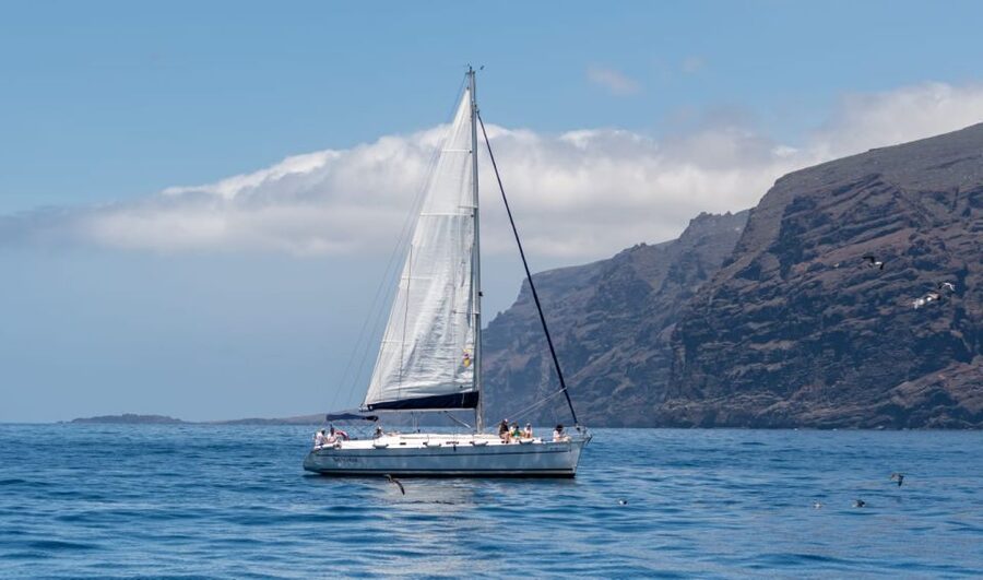 Los Gigantes: Private Sailing Tour with Swim, Drink, & Tapas - Service, Cleanliness, and Special Occasions