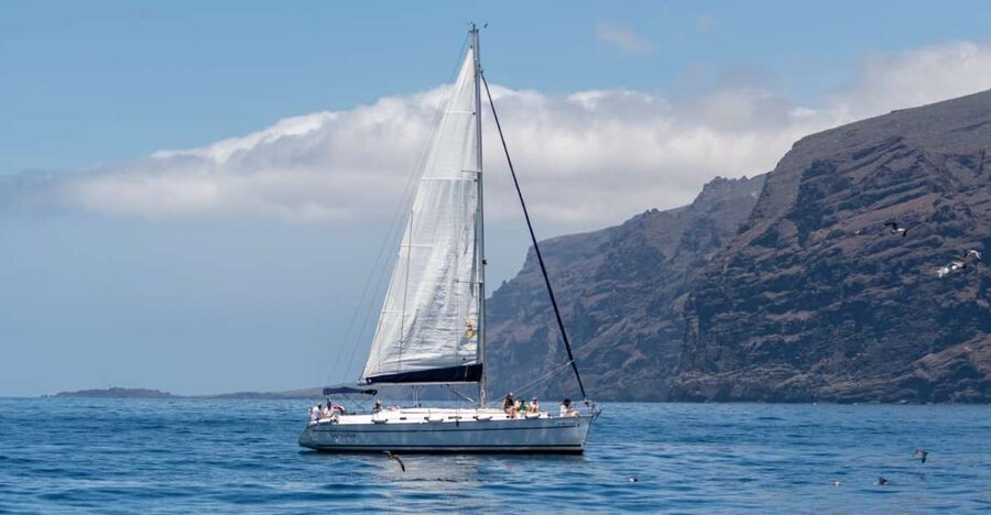 Los Gigantes: Sailing Excursion with Swimming, Drink & Tapas - Searching for pilot whales and dolphins
