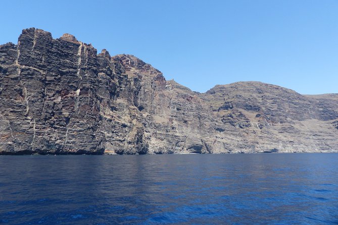 Los Gigantes Whale Watching Charter by Sail Boat - Is the $90.70 price good value?