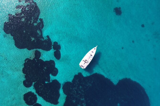 Luxury Catamaran Morning Semi-Private & Greek Gastronomy Athens - Returning to Alimos around 2:30 pm
