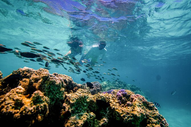 LUXURY PRIVATE Catamaran Bora Bora : Full-Day Trip - Is $2,917.48 a fair price?