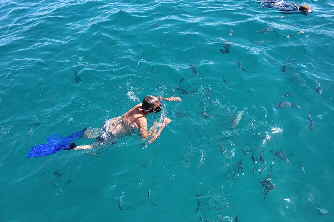 Luxury Snorkel Tour in Sailing Catamaran - Snorkeling at Chileno Beach