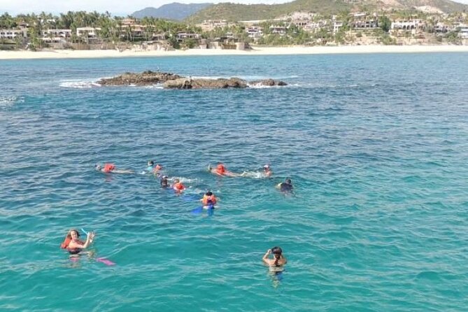 Luxury Snorkel Tour in Sailing Catamaran - The Return Cruise and Sea Views