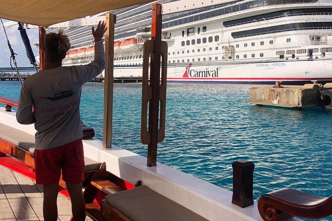 Luxury snorkel trip on a spacious wooden schooner and local lunch - What You May See at the Snorkeling Stop