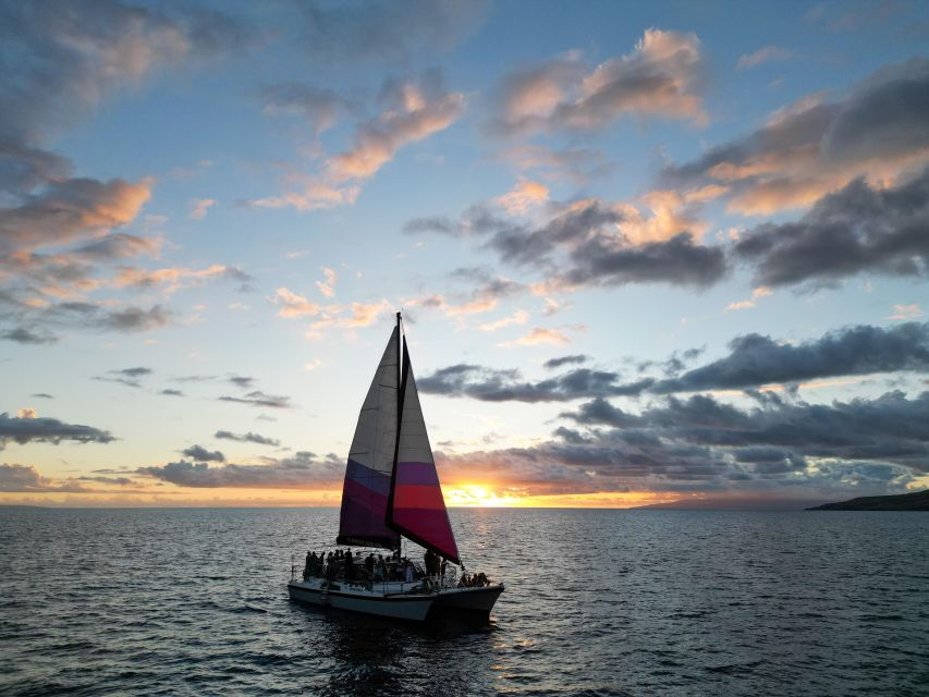 Maalaea Harbor: Sunset Sail on a Charming Hawaiin Catamaran - Whale Watching From December Through April