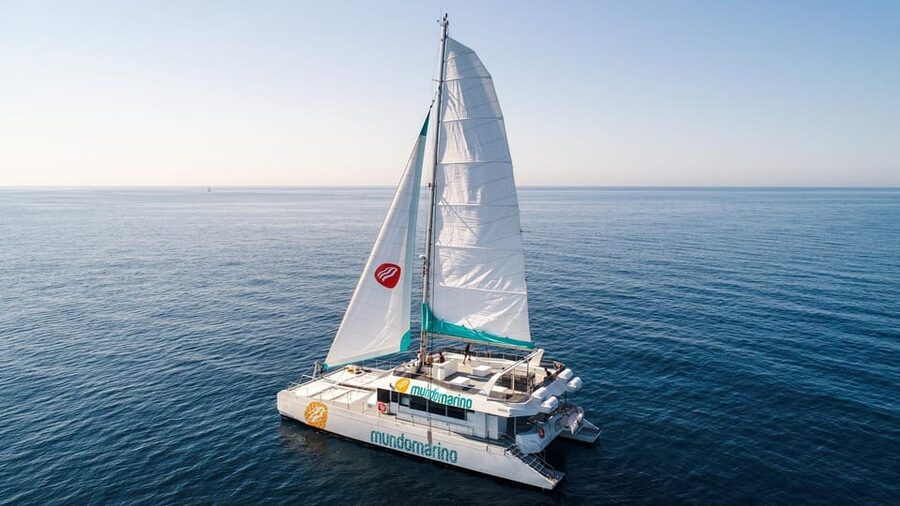Malaga: Sailing Catamaran with Swimming and Paella Lunch - Should you book the Malaga catamaran?
