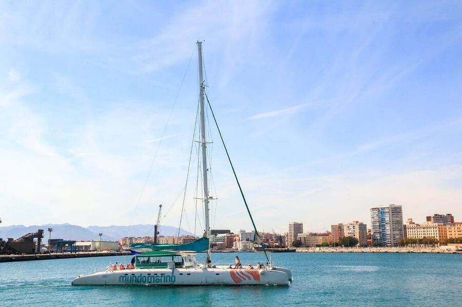 Malaga: Sailing Catamaran with Swimming and Paella Lunch - What the crew adds to the trip