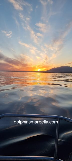 Marbella: Dolphin-Watching Sailboat Trip with Drinks, Snacks - Cold drinks and simple snacks on the way