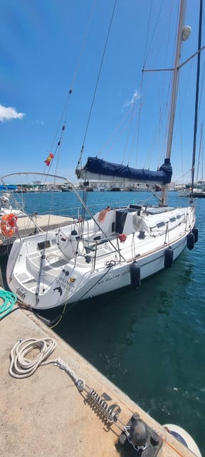 Marbella: Dolphin-Watching Sailboat Trip with Drinks, Snacks - Swimming, paddleboarding, fishing, and sun time