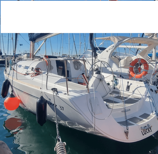 Marbella: Dolphin-Watching Sailboat Trip with Drinks, Snacks - How the $77 price holds up