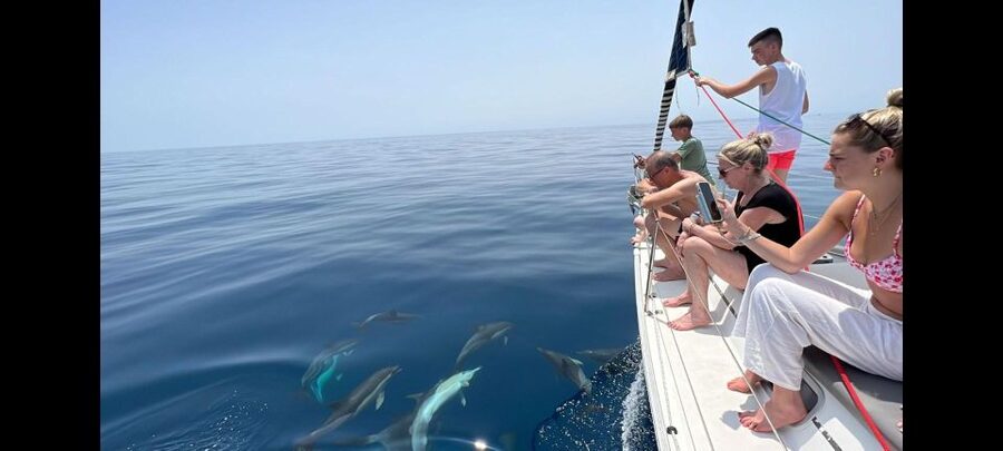 Marbella: Private sailing tour with drink and snack ,2 hours - Dolphins, sea views, and the luck factor