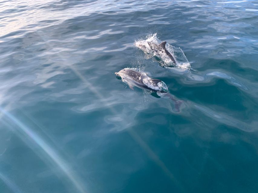 Marbella: Sailing & Dolphin Watching with Snacks and Drinks - Who will enjoy this boat trip most