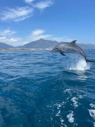 Sailing & Dolphin Watching with Snacks and Drinks