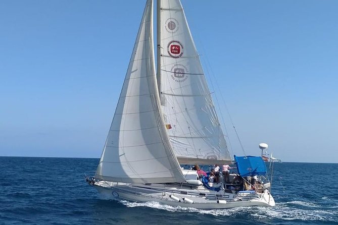 Marbella Sailing Experience - Views toward Puerto Banús and Marbella