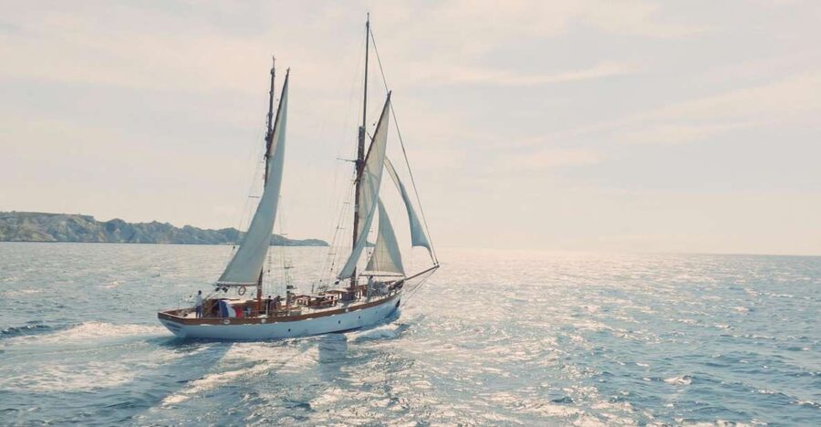 Marseille : Afternoon sailing trip - Key points to know before you sail