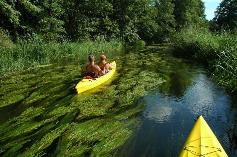 Masurian Lake District: Canoe and Sailing Tour from Warsaw - Three Hours on the Calm Krutyń River