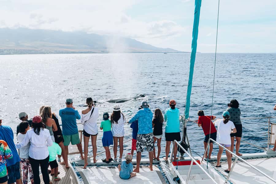 Maui: Ka'anapali Whale Watching Cruise on Luxury Sailboat - Booking and practical tips