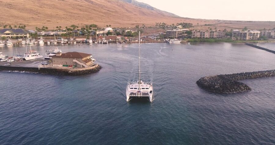 Maui: Luxury Catamaran Whale Watch & Sail - Key points to know before you sail