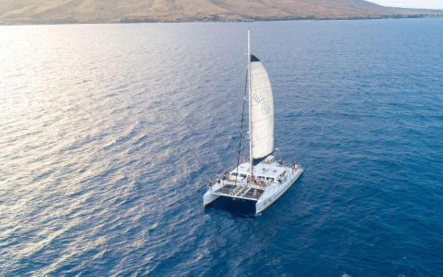 Maui: Luxury Catamaran Whale Watch & Sail - Leaving from Slip 56 at Maalaea Harbor