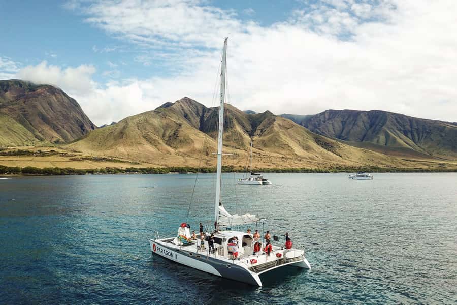 Maui: Midday Sail with the Whales Māʻalaea Harbor - Two hours in the ʻAuʻau Channel