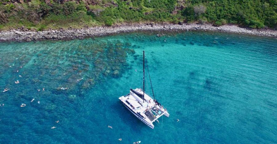 Maui: Snorkeling and Sailing Adventure with Buffet Lunch - Why this west Maui boat trip is worth considering