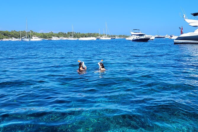 Mediterranean Sailing Tour to Îles de Lérins - Price, value, and who gets the best deal