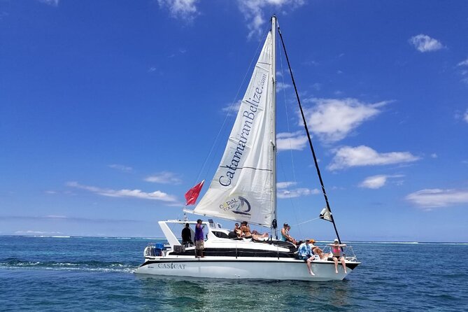 Mexico Rocks Day Sail Shared Guided Tour - Key points to know before booking