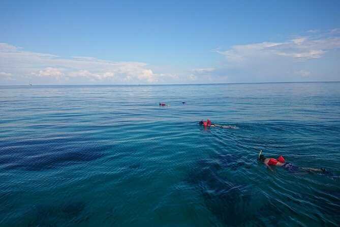 Mexico Rocks Day Sail Shared Guided Tour - Mexico Rocks and the protected reef