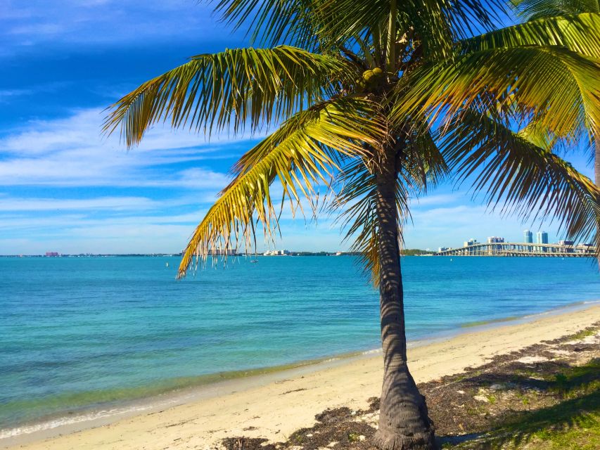 Miami: Hobie Cat Sailing - What happens from check-in to launch