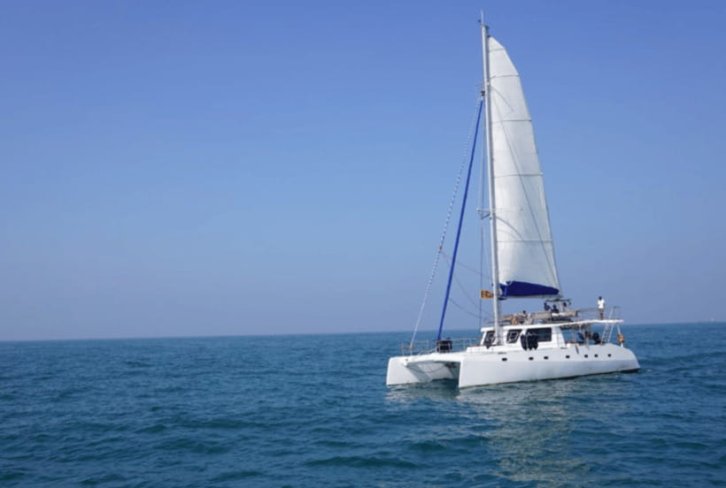 Mirissa: Sunset Catamaran Sailing Boat Tour with Dinner - What the $250 price really covers