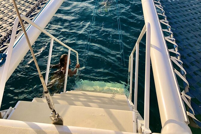 Moana’s Swim’n’Sail Cocktail Cruise Along the Waikiki Coast - Searching for turtles, dolphins, and whales