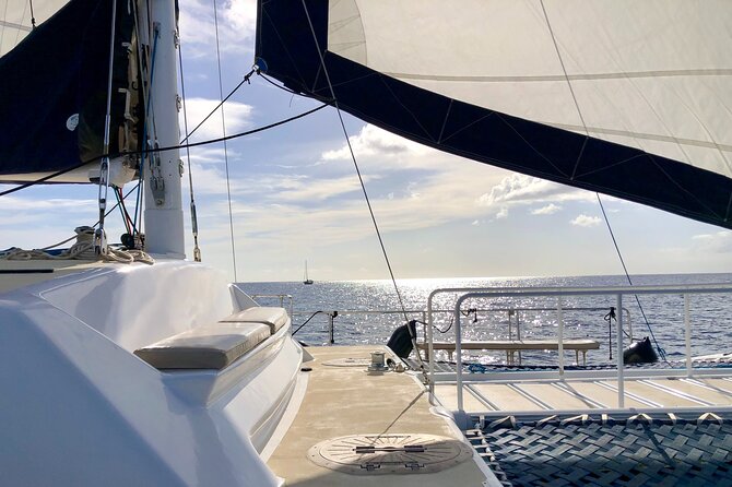 Moana’s Swim’n’Sail Cocktail Cruise Along the Waikiki Coast - A catamaran ride with Waikiki behind you