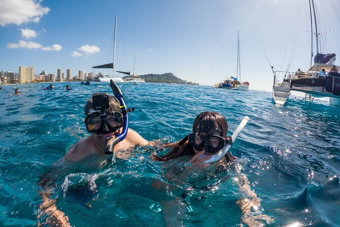 Moana’s Waikīkī Grand Guided Turtle Snorkel & Sailing Adventure - The sea turtles and other marine life