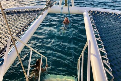 Moana’s Waikīkī Grand Guided Turtle Snorkel & Sailing Adventure